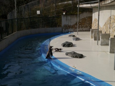 桐生が岡動物園の写真