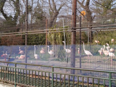 桐生が岡動物園の写真4