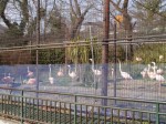 桐生が岡動物園の写真のサムネイル写真4