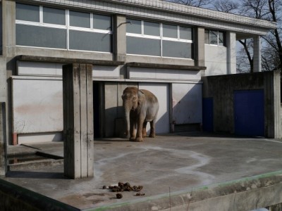 桐生が岡動物園の写真6