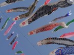 かんな鯉のぼり祭りの写真のサムネイル写真10