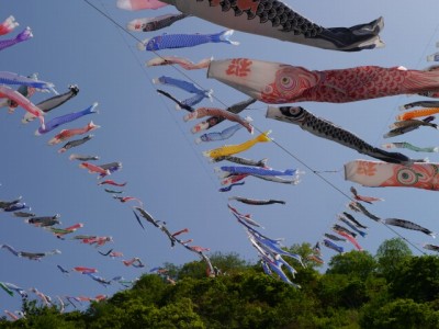 かんな鯉のぼり祭りの写真11