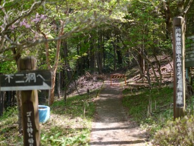 川和自然公園の写真