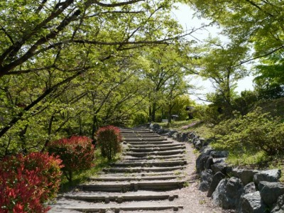 桜山公園の写真5