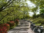 桜山公園の写真のサムネイル写真5