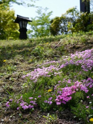 桜山公園の写真6