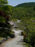 桜山公園の写真のサムネイル写真8