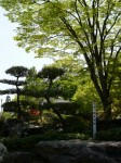 桜山公園の写真のサムネイル写真17