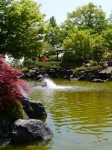 桜山公園の写真のサムネイル写真19