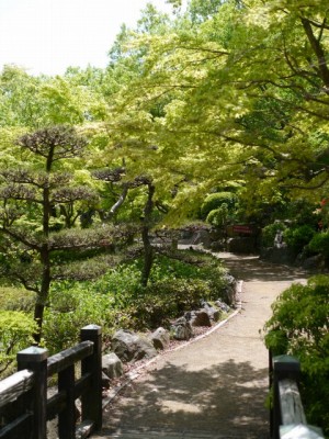 桜山公園の写真20