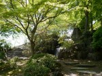 桜山公園の写真のサムネイル写真26