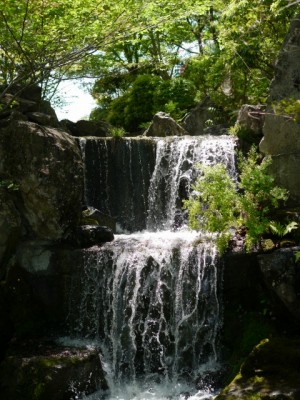 桜山公園の写真27