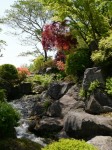 桜山公園の写真のサムネイル写真29