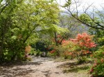 桜山公園の写真のサムネイル写真30