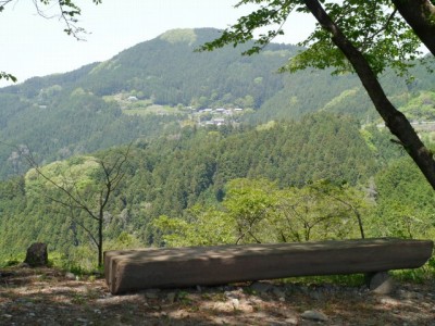 桜山公園の写真31