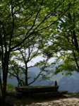 桜山公園の写真のサムネイル写真33