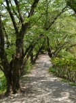 桜山公園の写真のサムネイル写真37