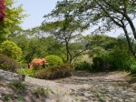 桜山公園の写真のサムネイル写真39