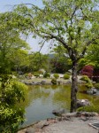 桜山公園の写真のサムネイル写真41