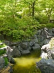 桜山公園の写真のサムネイル写真44