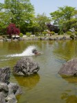 桜山公園の写真のサムネイル写真46