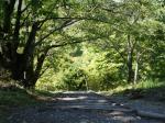 桜山公園の写真のサムネイル写真71