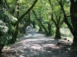 桜山公園の写真のサムネイル写真72