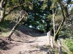 桜山公園の写真のサムネイル写真80