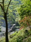 三波石峡の写真のサムネイル写真6