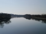 谷中湖（渡良瀬遊水地）の写真のサムネイル写真3