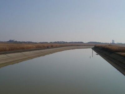 谷中湖（渡良瀬遊水地）の写真10