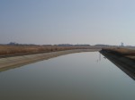 谷中湖（渡良瀬遊水地）の写真のサムネイル写真10