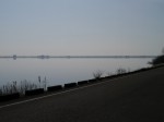 谷中湖（渡良瀬遊水地）の写真のサムネイル写真13
