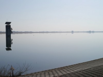 谷中湖（渡良瀬遊水地）の写真14