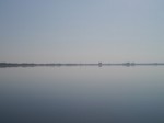 谷中湖（渡良瀬遊水地）の写真のサムネイル写真15