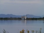 谷中湖（渡良瀬遊水地）の写真のサムネイル写真33