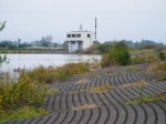 谷中湖（渡良瀬遊水地）の写真のサムネイル写真38