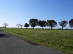 谷中湖（渡良瀬遊水地）の写真のサムネイル写真45