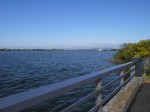 谷中湖（渡良瀬遊水地）の写真のサムネイル写真48