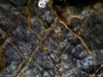 小平鍾乳洞の写真のサムネイル写真13
