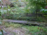 小平湿生植物園の写真のサムネイル写真2