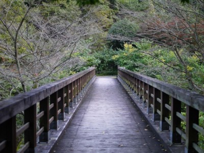 小平湿生植物園の写真4