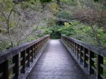 小平湿生植物園の写真のサムネイル写真4