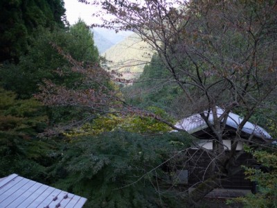 小平湿生植物園の写真5