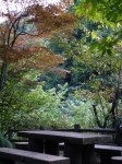 小平湿生植物園の写真のサムネイル写真10