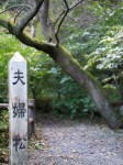 小平湿生植物園の写真のサムネイル写真11