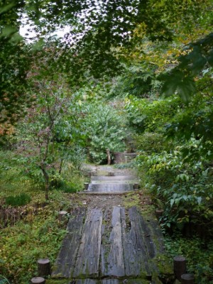 小平湿生植物園の写真13