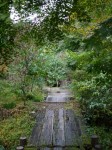 小平湿生植物園の写真のサムネイル写真13