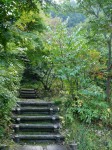 小平湿生植物園の写真のサムネイル写真14