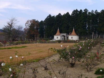 赤城クローネンベルクの写真25